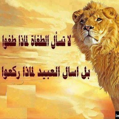 Quotation or greeting image