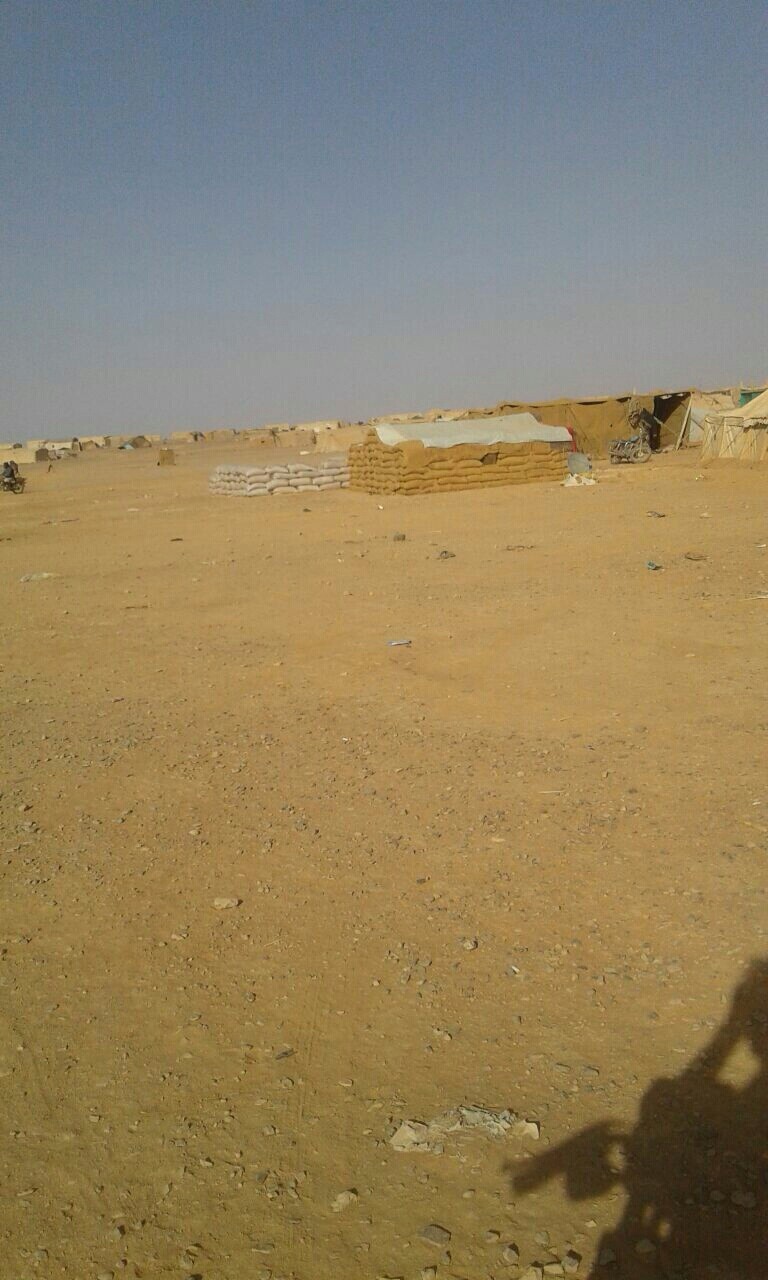 Landscape and field position