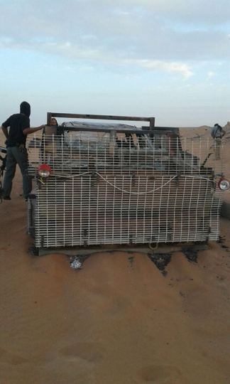 Vehicle protective mesh