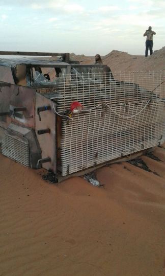 Vehicle protective mesh