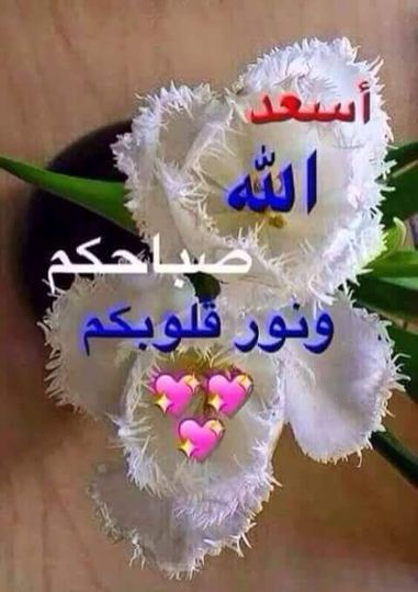 Quotation or greeting image