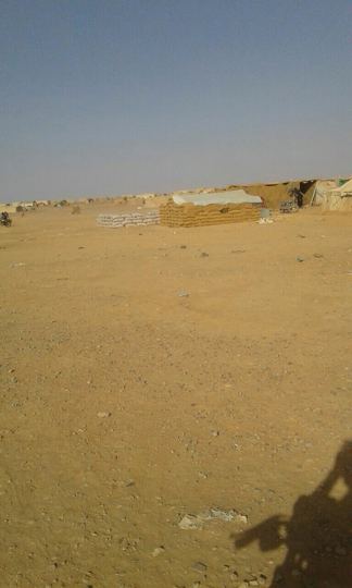 Landscape and field position