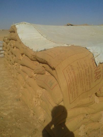 Landscape and field position